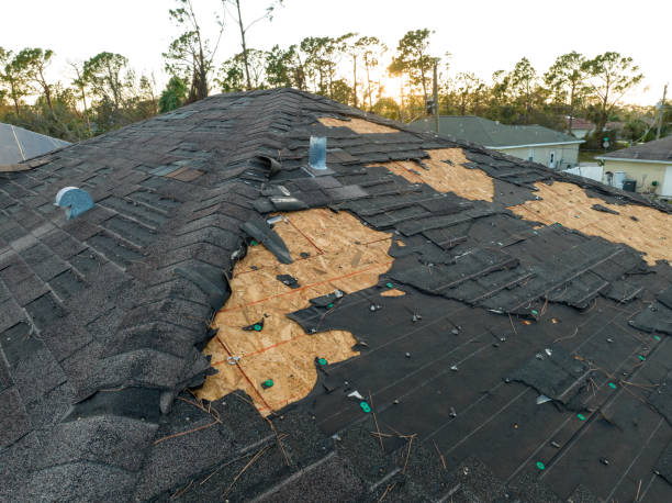 Best Hot Roofs  in Leon, IA